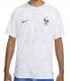 Player Version 2022 World Cup France Away Soccer Jersey Shirt