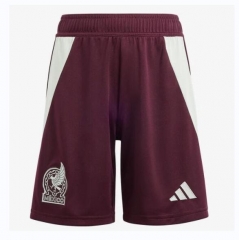 2024 Copa America Mexico Home Soccer Shorts
