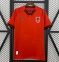 2025 Albania Home Soccer Jersey Shirt