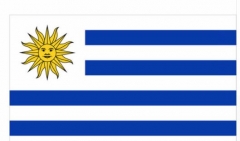 Uruguay National Country Flag