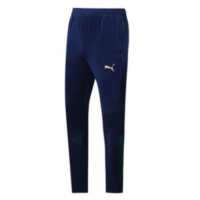 2020 Euro Italy Tracksuit Pants Blue