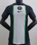 Concept Player Version Shirt 2022-23 Nigeria Kit Home Soccer Jersey