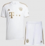 22-23 Bayern Munich Away Soccer Kits