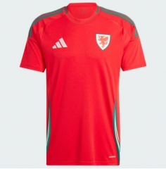 2024 Euro Cup Wales Home Soccer Jersey Shirt