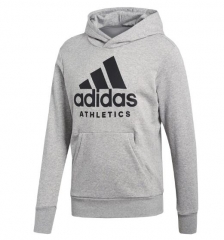 18-19 AD Grey Hoody Sweatshirt