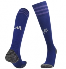 2022 World Cup Argentina Away Soccer Socks