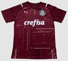 21-22 Palmeiras Red Goalkeeper Soccer Jersey Shirt