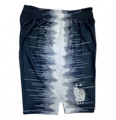 18-19 France Blue Training Shorts