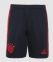 22-23 Bayern Munich Third Soccer Shorts