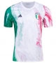 23-24 Italy Cheap Replica Pre-Match Training Shirt