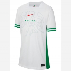 2024 Africa Cup Nigeria Home Soccer Jersey Shirt