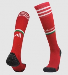 2022 World Cup Mexico Home Soccer Socks