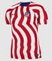 Player Version 22-23 Atletico Madrid Home Soccer Jersey Shirt