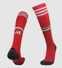 Kids 2022 World Cup Mexico Home Soccer Socks