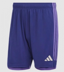 2022 World Cup Argentina Away Soccer Shorts