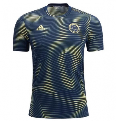 2019 Colombia Yellow Blue Training Jersey Shirt