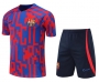 22-23 Barcelona Red Blue Training Shirt and Shorts
