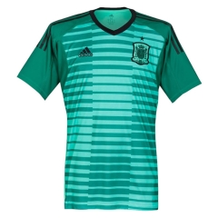 Spain 2018 FIFA World Cup Green Goalkeeper Soccer Jersey Shirt