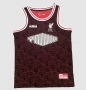 LeBron James 22-23 Liverpool Black Red Training Vest Shirt